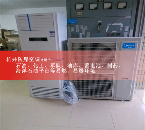 電力電廠(chǎng)防爆空調機案例圖