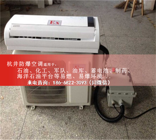 電力電廠(chǎng)防爆空調機案例圖