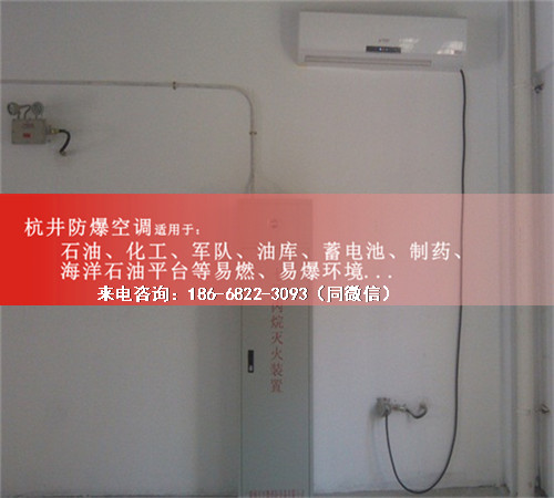 粉塵車(chē)間防爆空調機案例圖