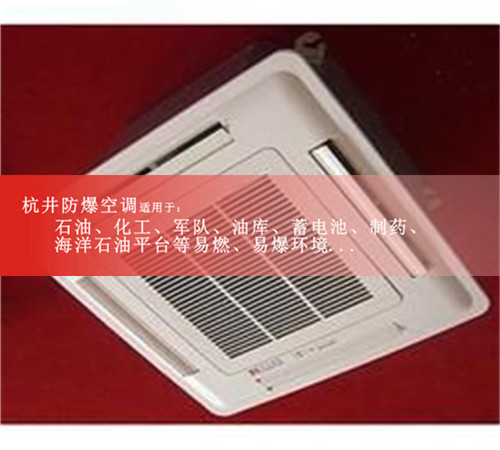 1p**庫房工業(yè)防爆空調案例圖