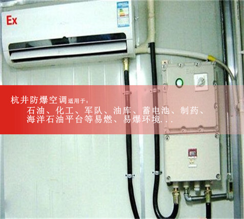 8p液化車(chē)間熱泵式防爆空調圖片